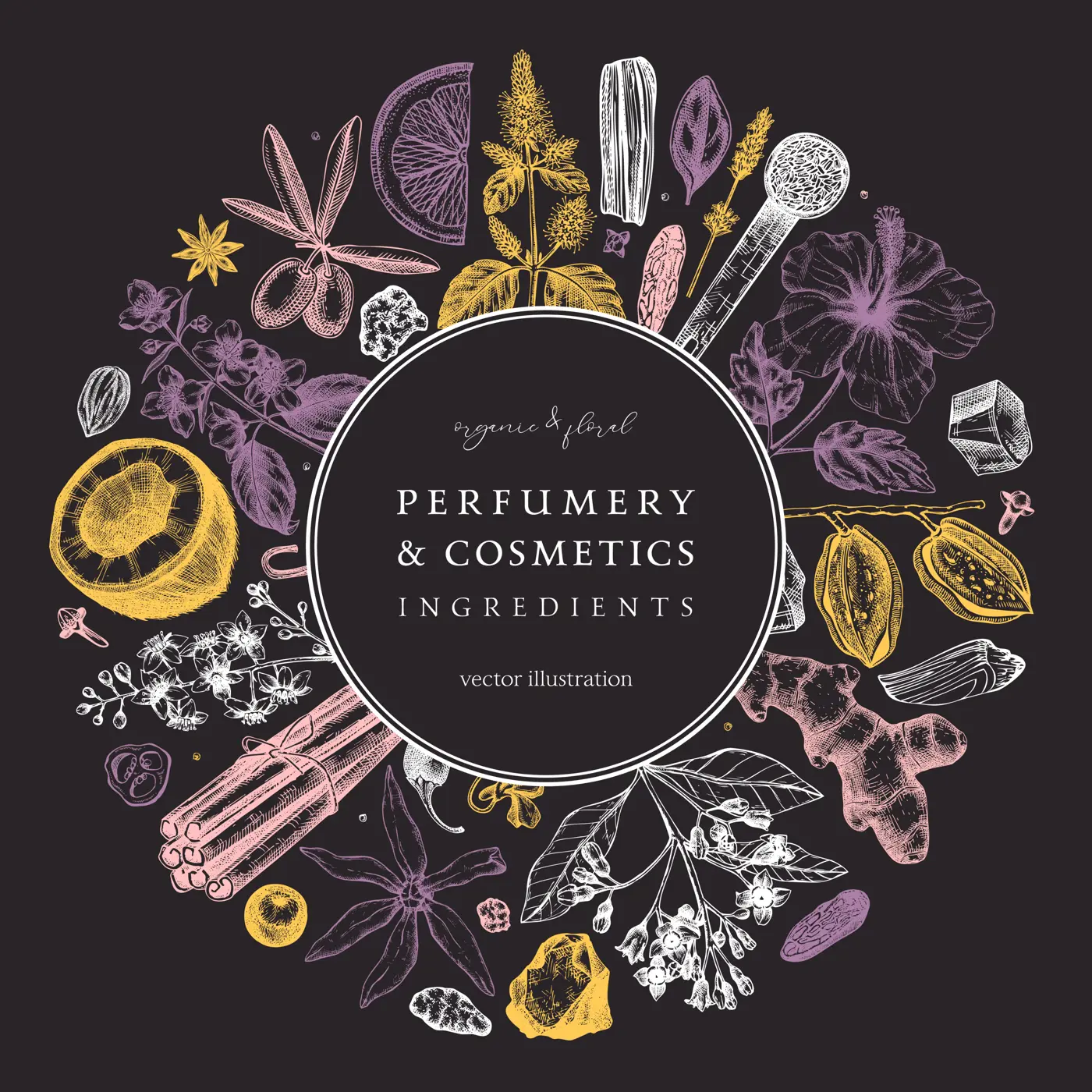 Aromatic plants wreath. Perfumery and cosmetics ingredients banner. Flower, fruit, spice, herb sketches. Hand drawn vector illustration. Packaging design template.  Illustration